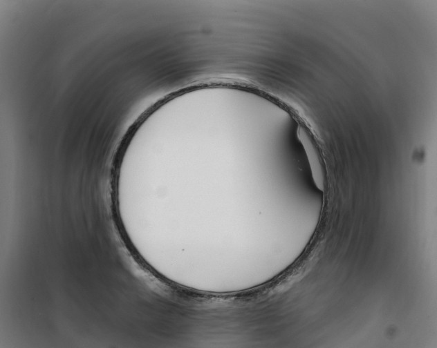 X0000100361038200807031833