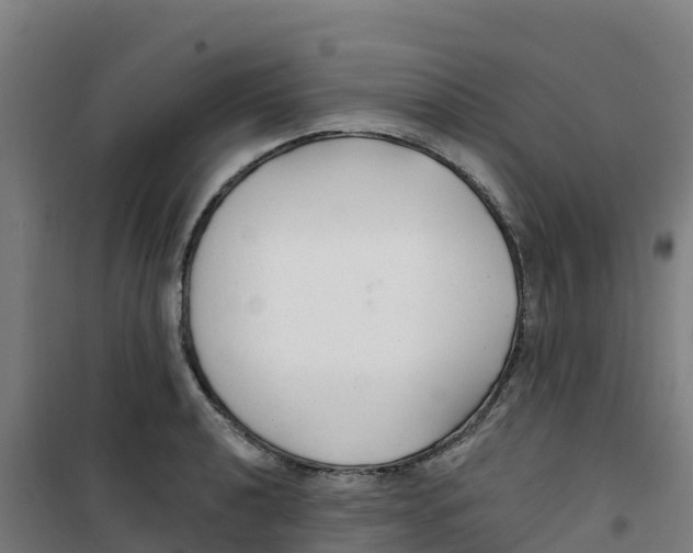 X0000100361040200807031833