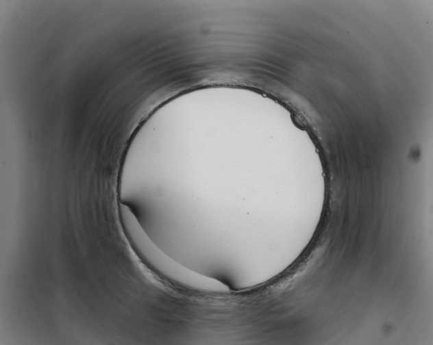 X0000100361041200807031833