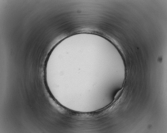 X0000100361042200807031833