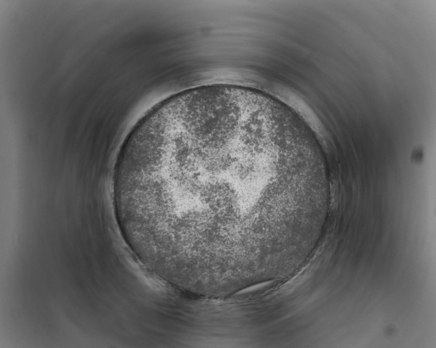 X0000100361043200807031833