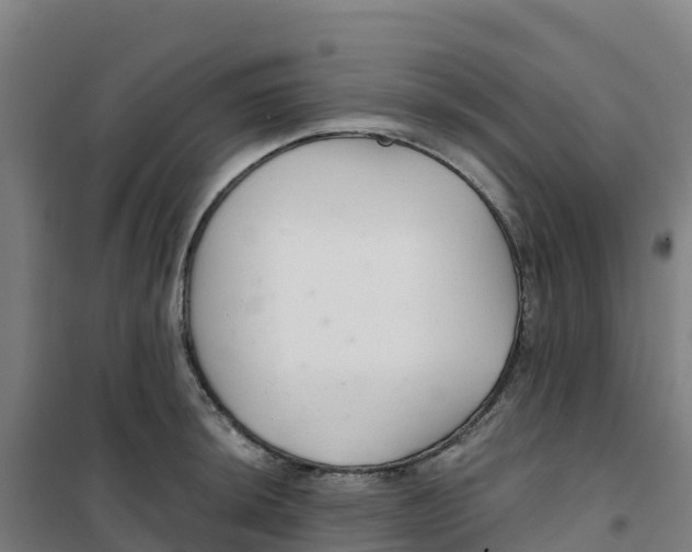 X0000100361044200807031833