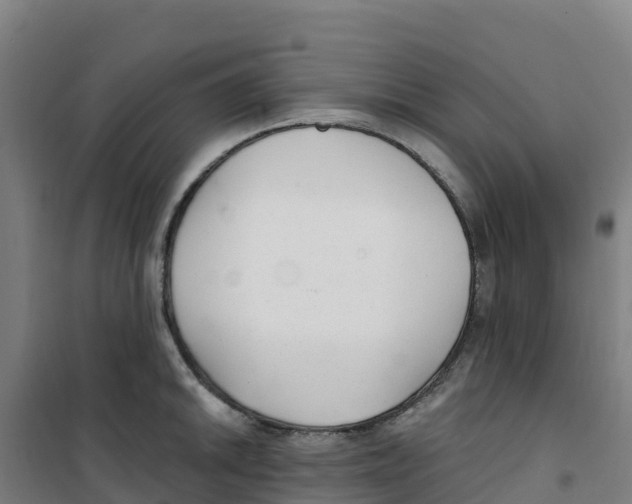 X0000100361046200807031833
