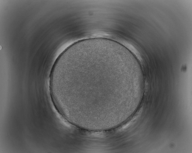 X0000100361047200807031833