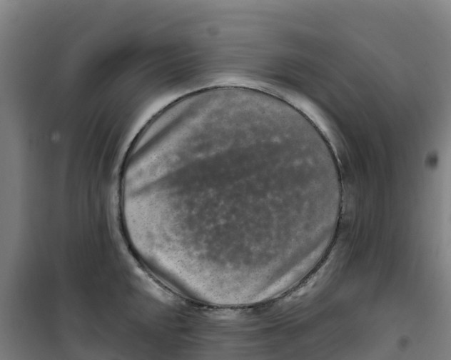 X0000100361048200807031833