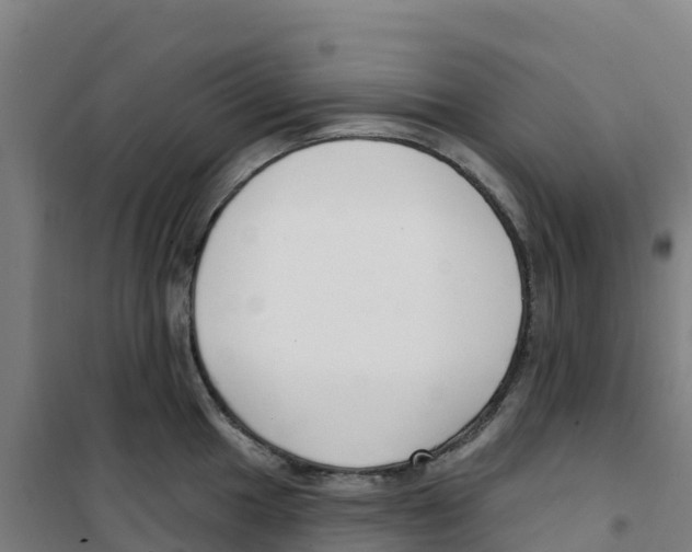 X0000100361049200807031833