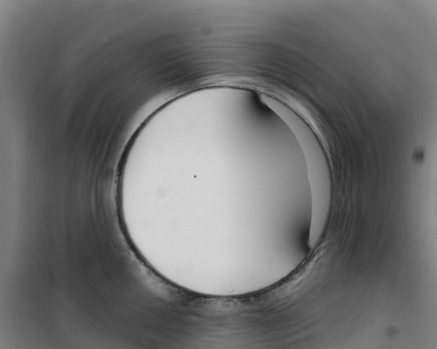X0000100361050200807031833