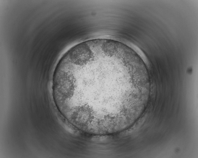X0000100361051200807031833