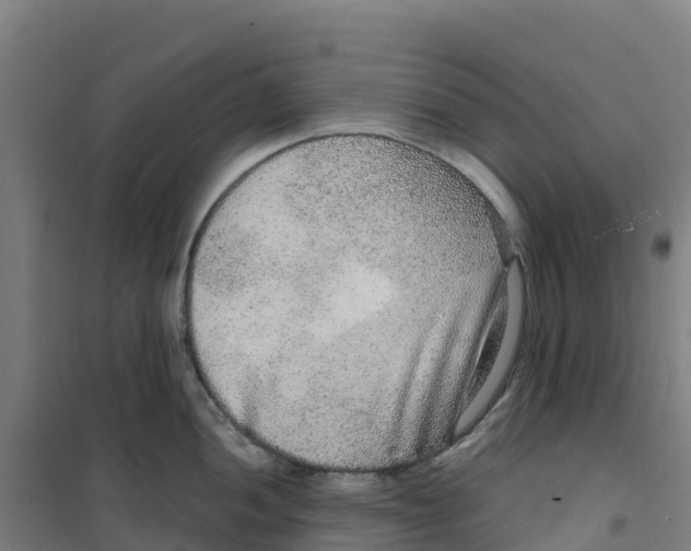 X0000100361052200807031833