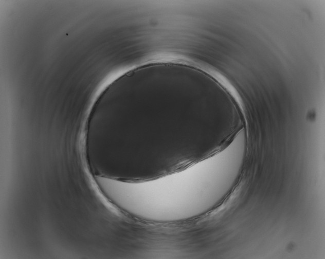 X0000100361053200807031833