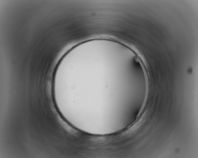 X0000100361054200807031833