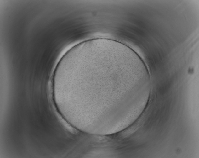 X0000100361056200807031833