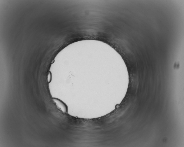 X0000100361057200807031833