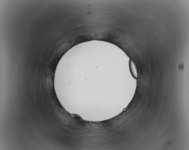 X0000100361058200807031833