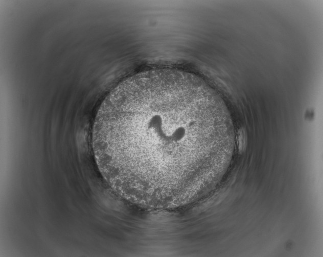 X0000100361059200807031833