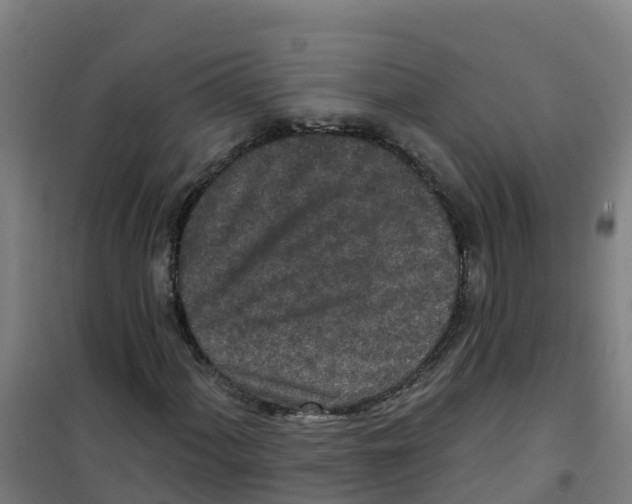 X0000100361060200807031833