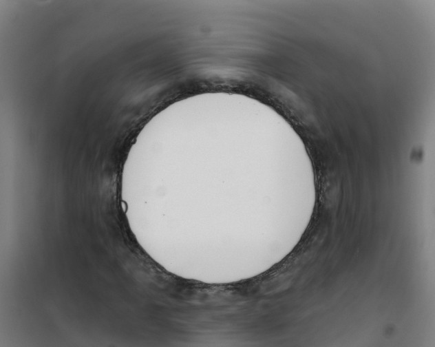X0000100361061200807031833