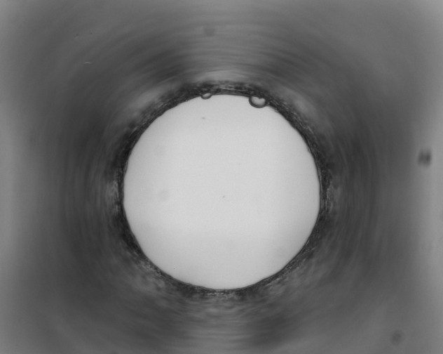 X0000100361062200807031833