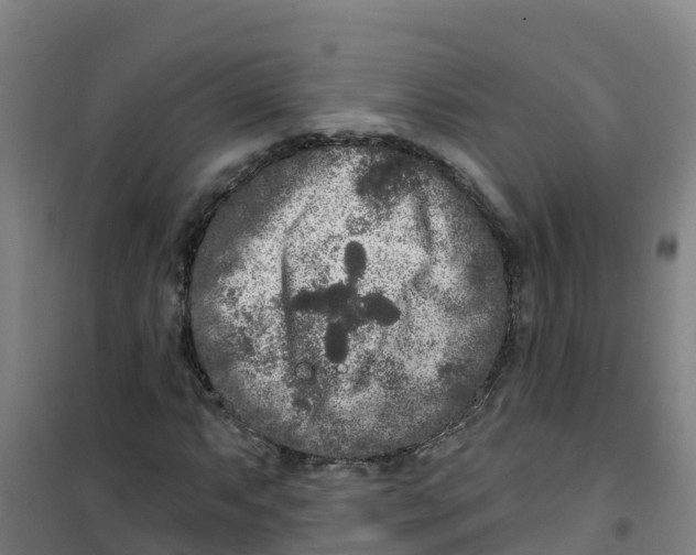 X0000100361063200807031833