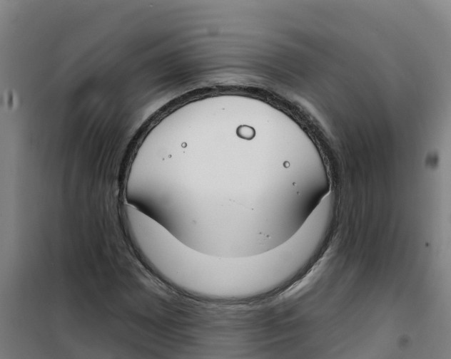 X0000100361065200807031833
