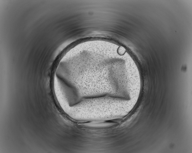 X0000100361066200807031833