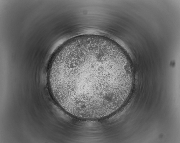 X0000100361067200807031833