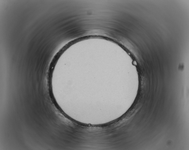 X0000100361068200807031833