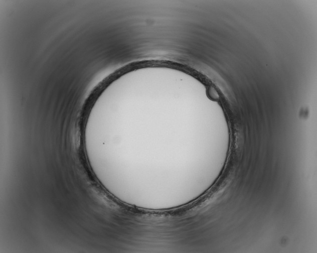 X0000100361069200807031833