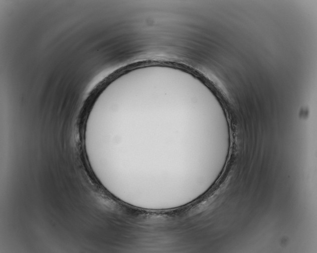 X0000100361070200807031833