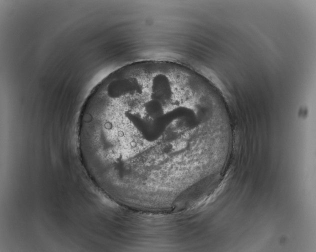 X0000100361071200807031833