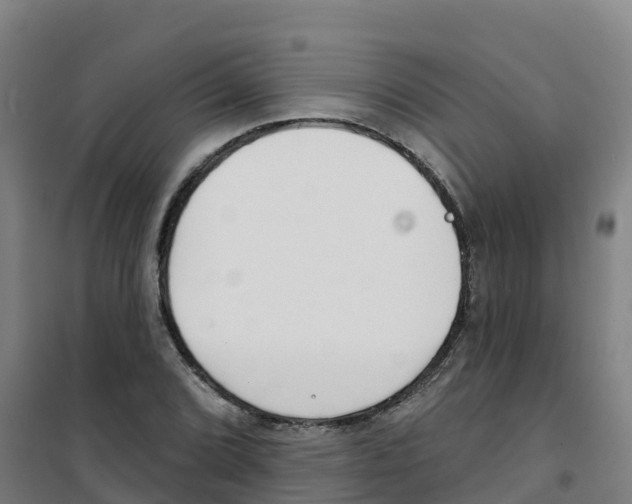 X0000100361072200807031833
