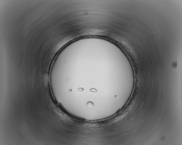 X0000100361073200807031833