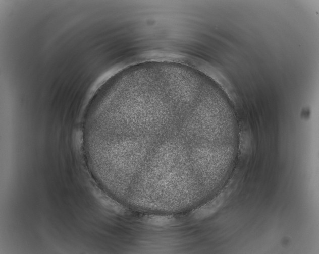 X0000100361074200807031832