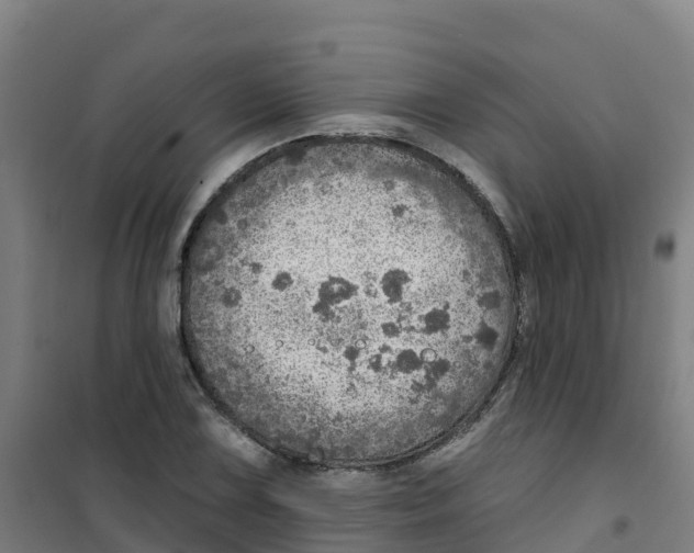 X0000100361075200807031832