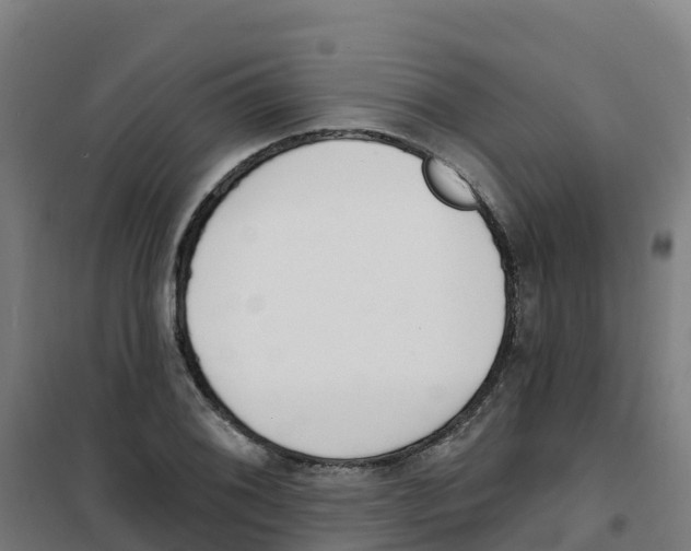 X0000100361076200807031832