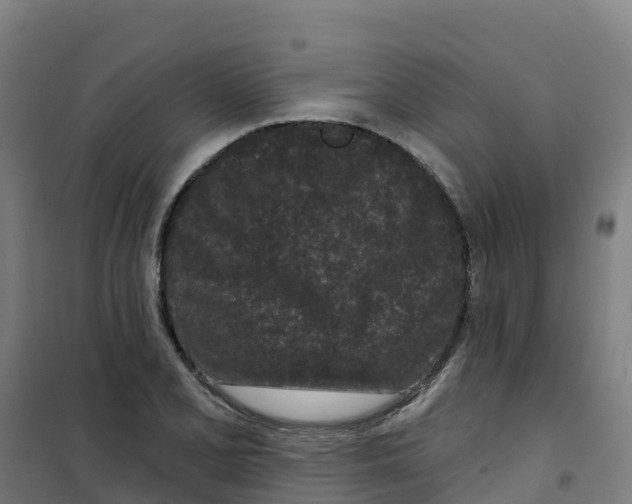 X0000100361077200807031832