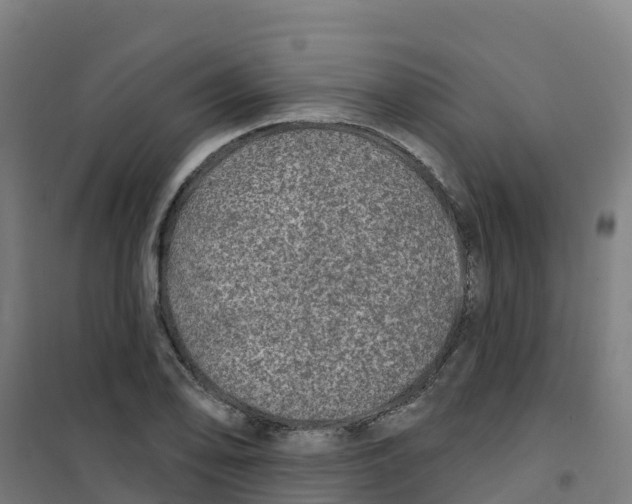 X0000100361078200807031832
