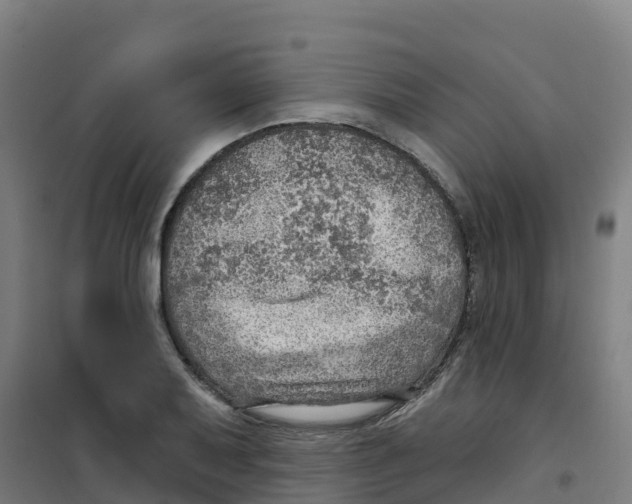 X0000100361079200807031832