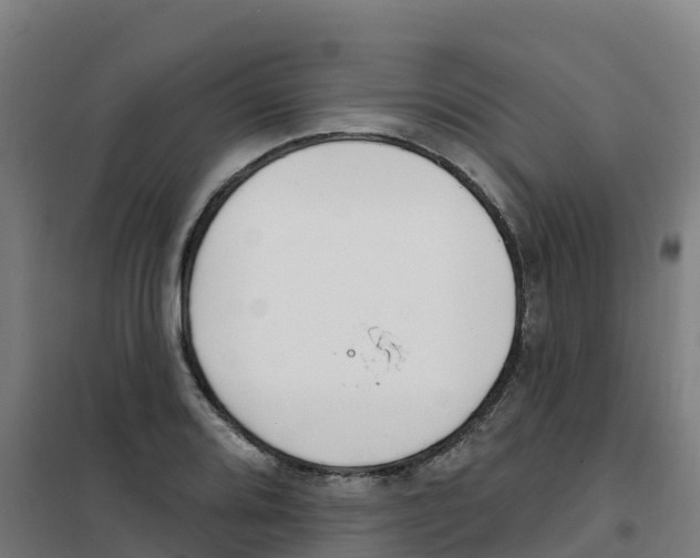 X0000100361080200807031832