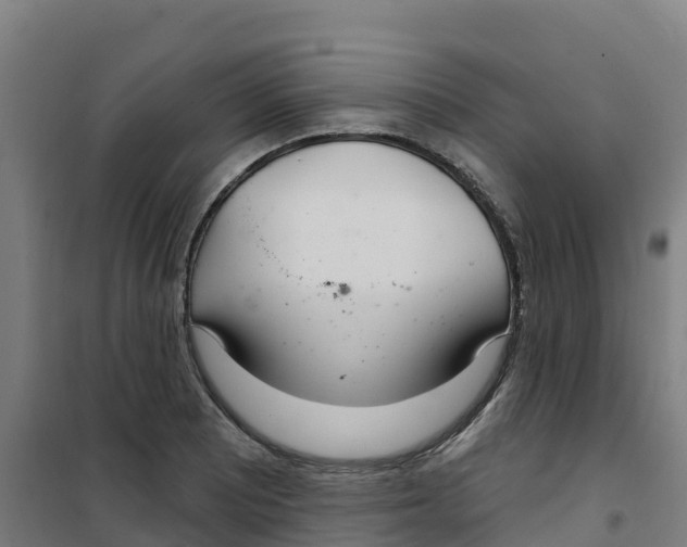 X0000100361081200807031832