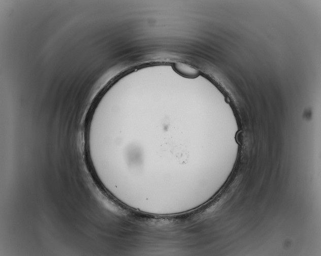 X0000100361082200807031832