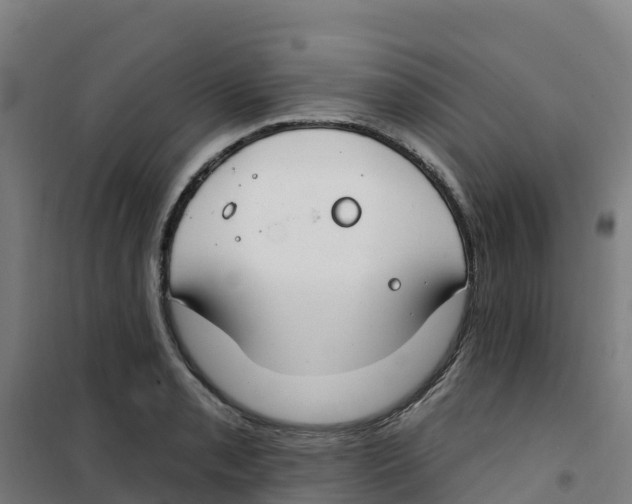 X0000100361085200807031832
