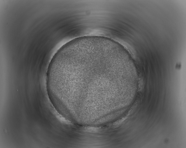 X0000100361086200807031832