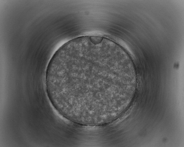 X0000100361087200807031832