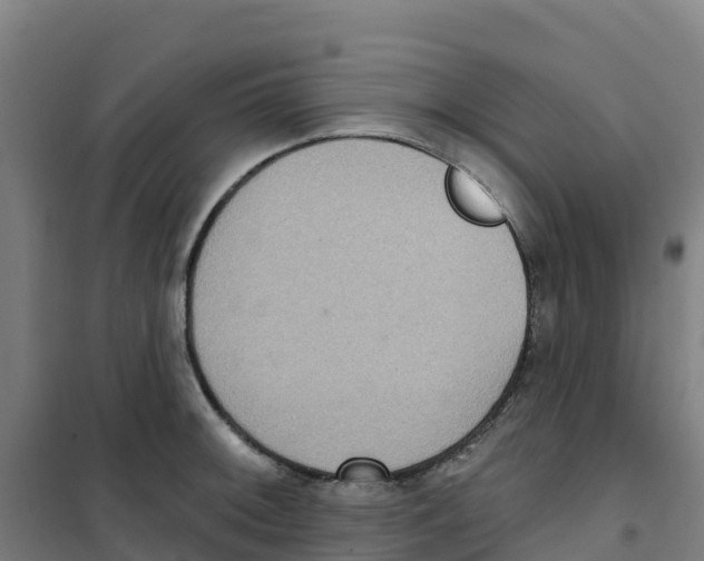 X0000100361092200807031832