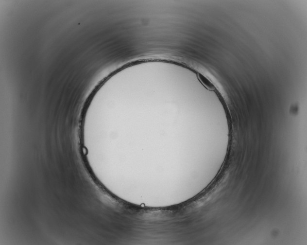X0000100361093200807031832