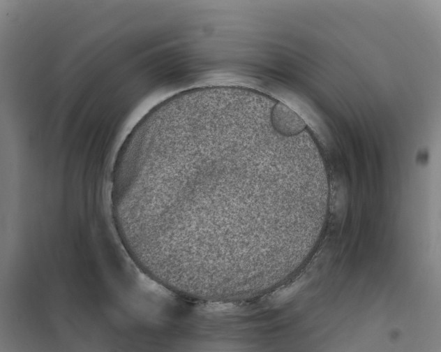 X0000100361094200807031832