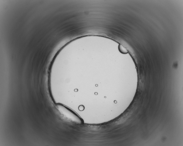 X0000100361096200807031832