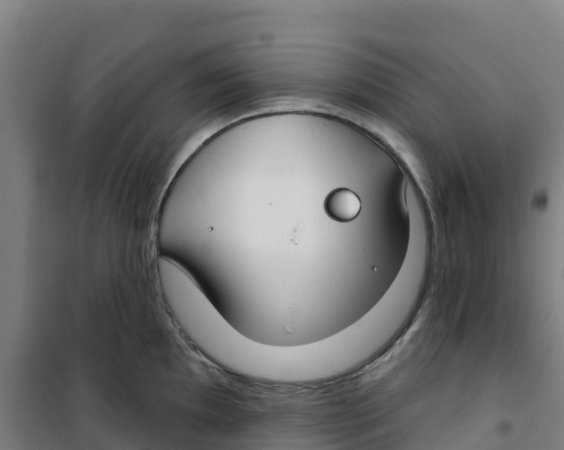 X0000100361097200807031832
