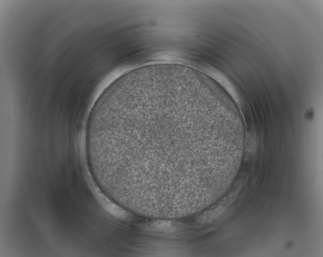 X0000100361098200807031832